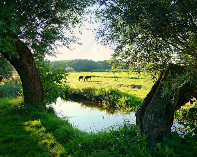 stacaravan Nederland huren